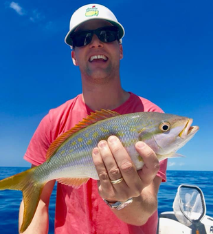 Snapper of the day: Yellowtail 